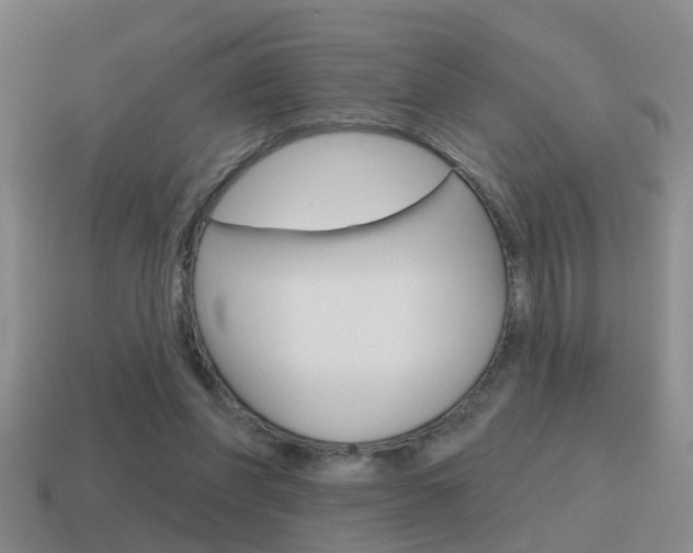 X0000115590206200911100938