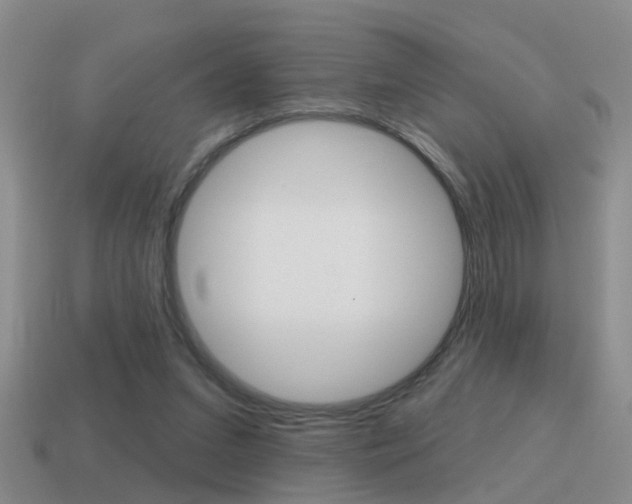 X0000115590207200911100938