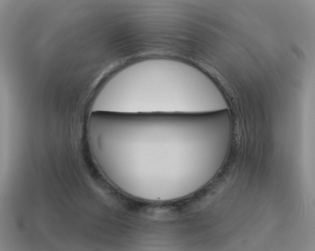 X0000115590208200911100938