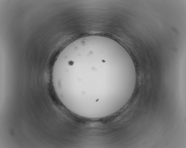 X0000115590210200911100938