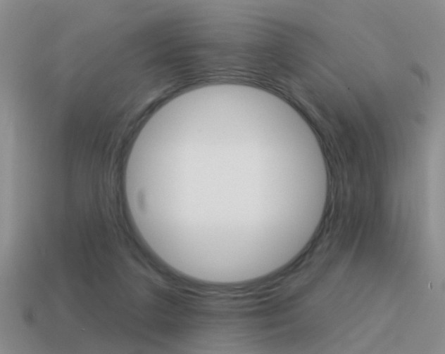 X0000115590211200911100938