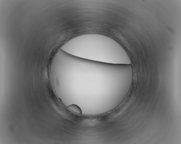 X0000115590213200911100938