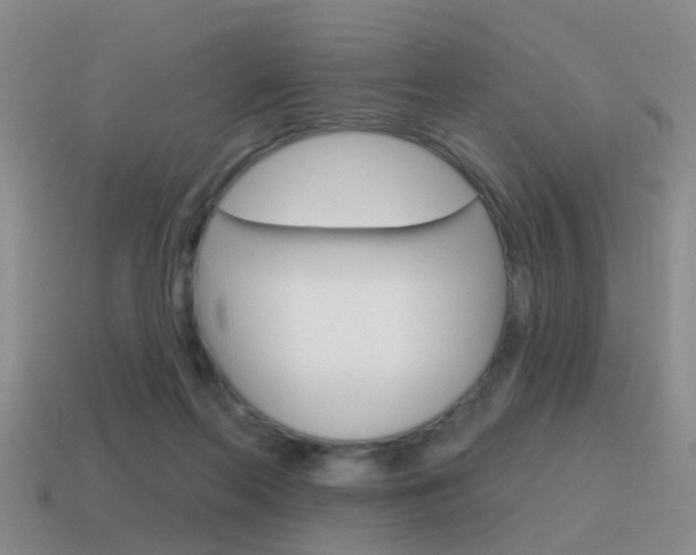 X0000115590214200911100938