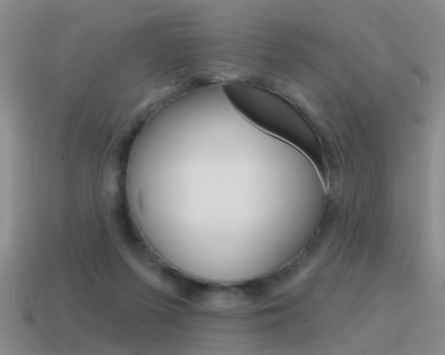 X0000115590215200911100938