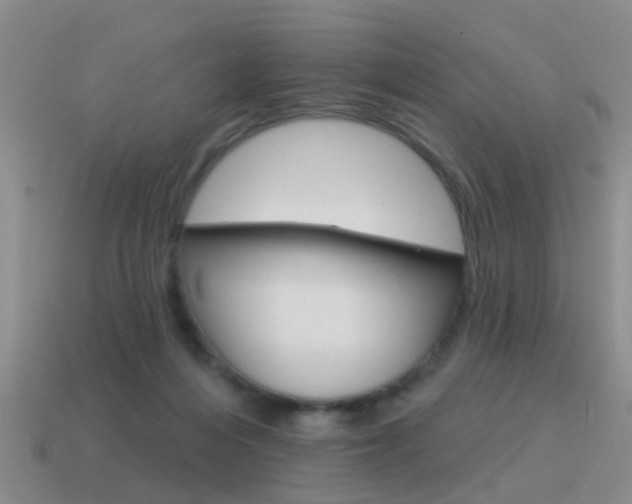 X0000115590216200911100938