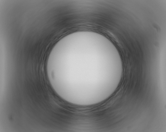 X0000115590217200911100938