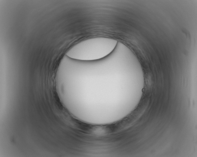 X0000115590218200911100938