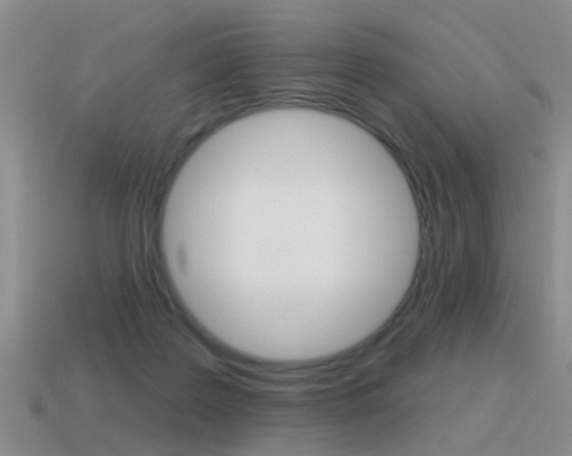 X0000115590219200911100938