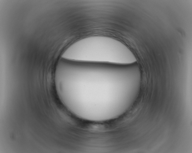 X0000115590220200911100938