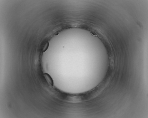 X0000115590221200911100937