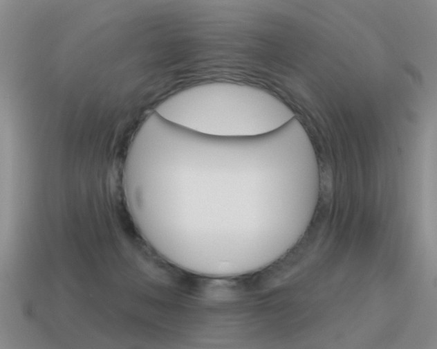 X0000115590222200911100937