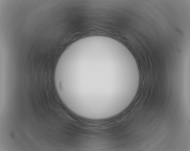 X0000115590223200911100937