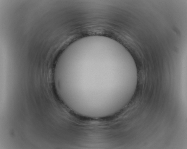 X0000115590224200911100937