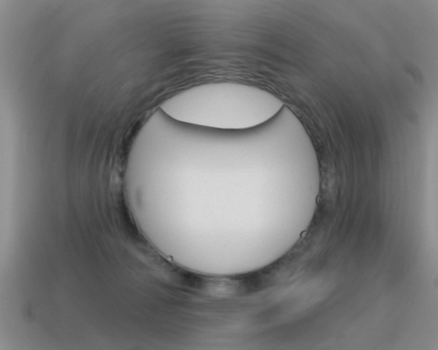 X0000115590226200911100937