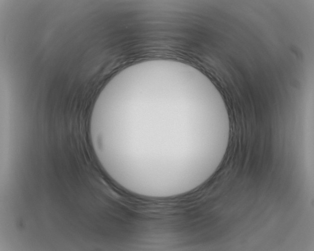 X0000115590227200911100937