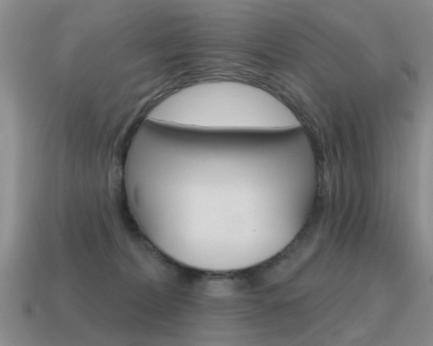 X0000115590228200911100937