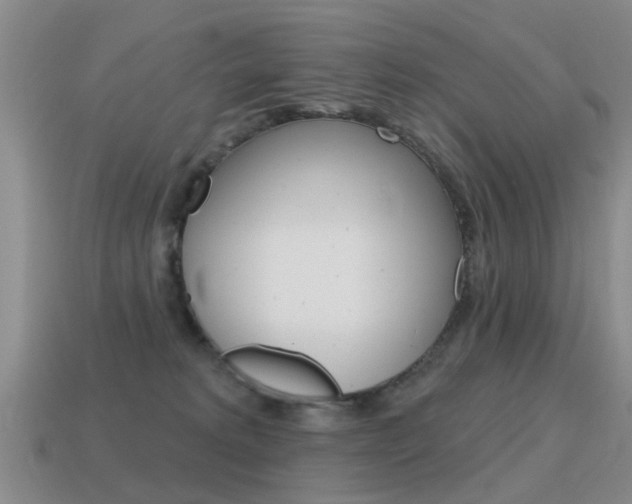 X0000115590229200911100937