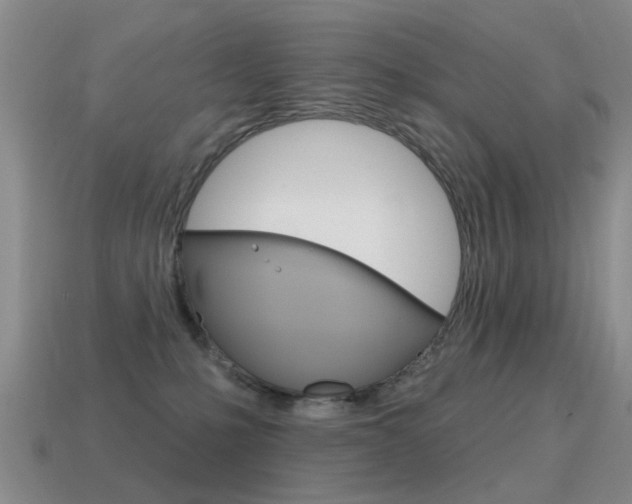 X0000115590231200911100937