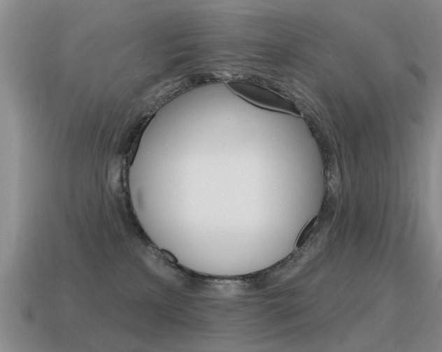 X0000115590233200911100937