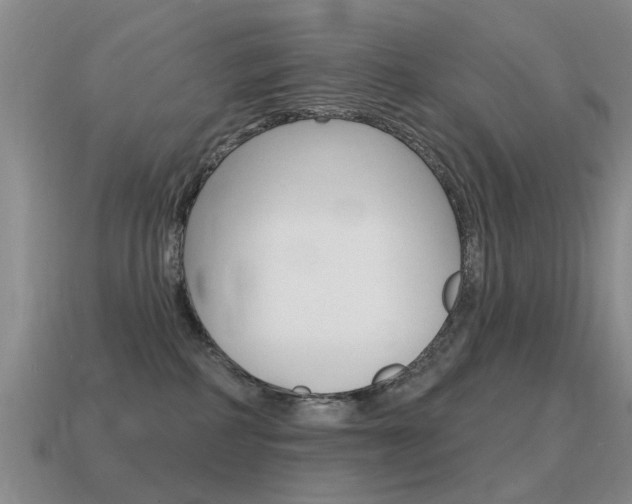 X0000115590234200911100937