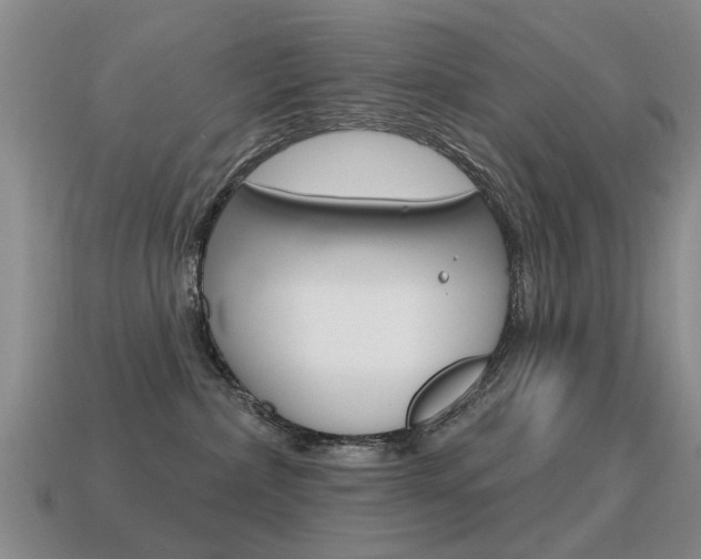 X0000115590236200911100937