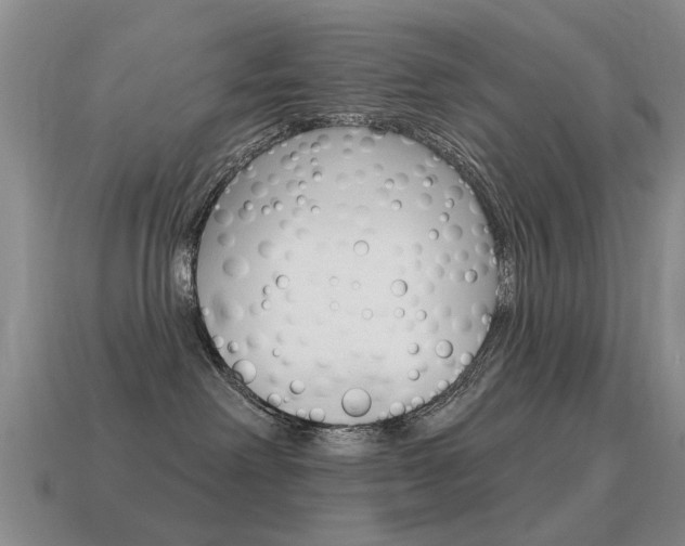 X0000115590238200911100937