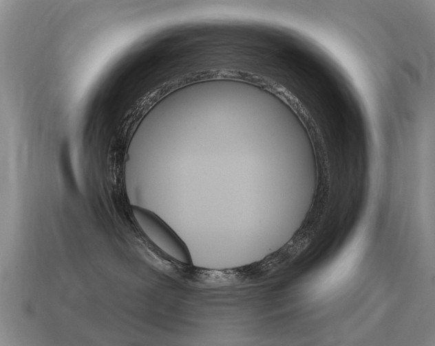 X0000115590239200911100937