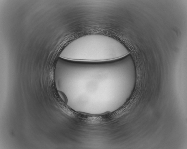 X0000115590240200911100937