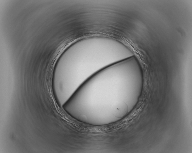 X0000115590241200911100936