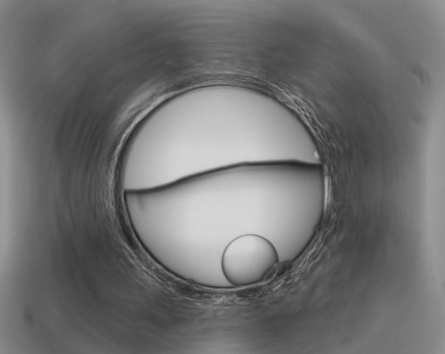 X0000115590243200911100936