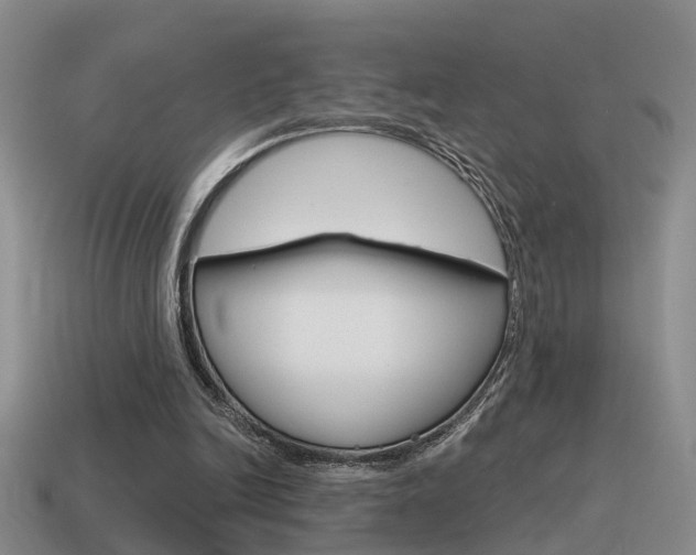 X0000115590246200911100937