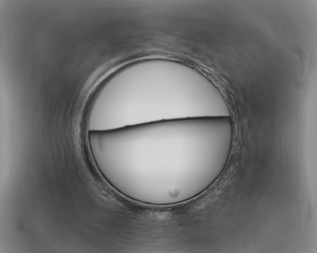 X0000115590247200911100937