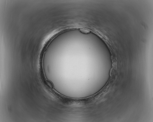 X0000115590248200911100937