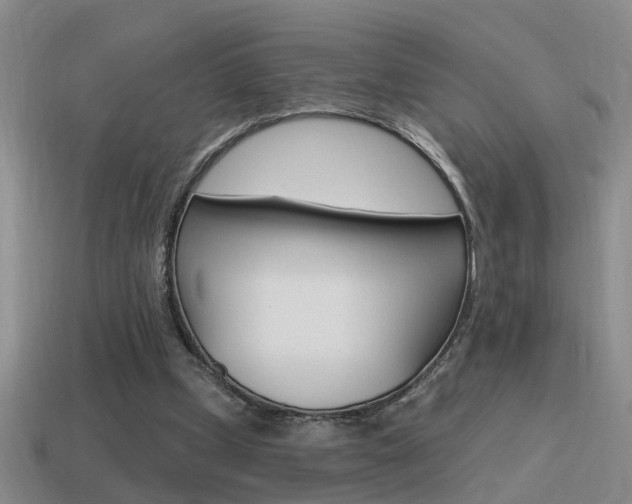 X0000115590249200911100937