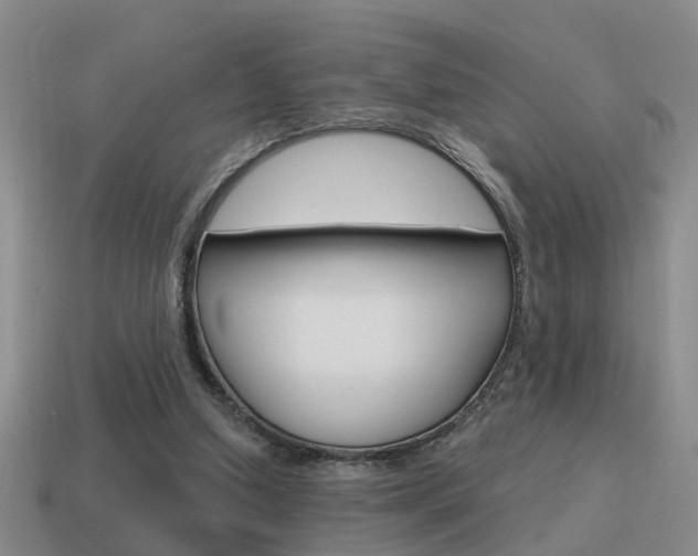 X0000115590250200911100937