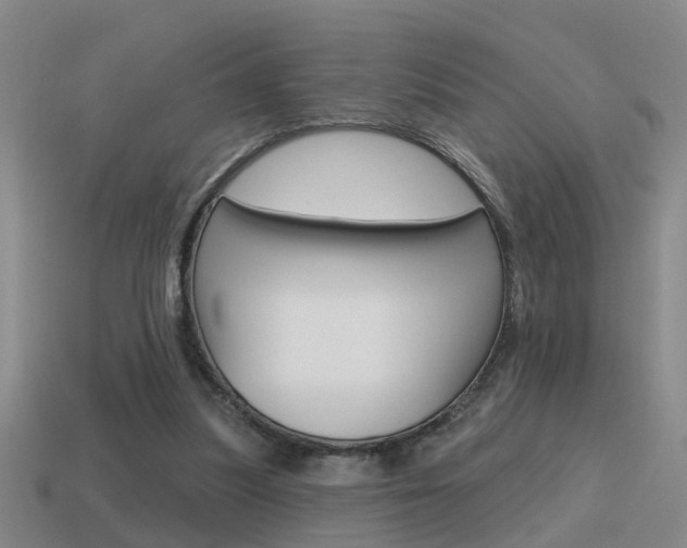 X0000115590251200911100937