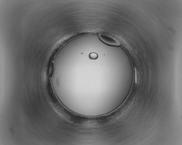 X0000115590252200911100937