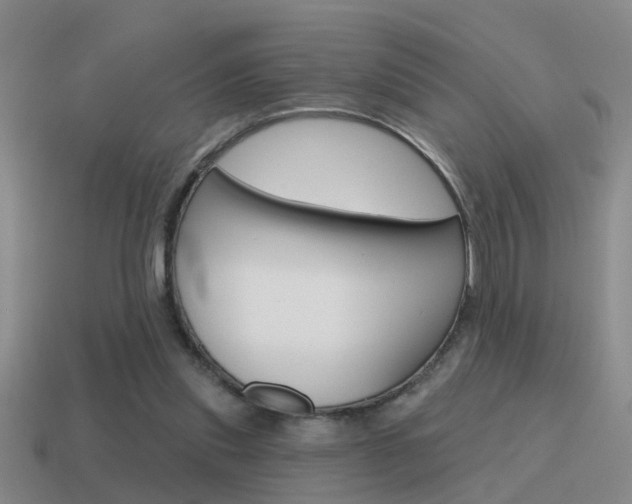 X0000115590253200911100937