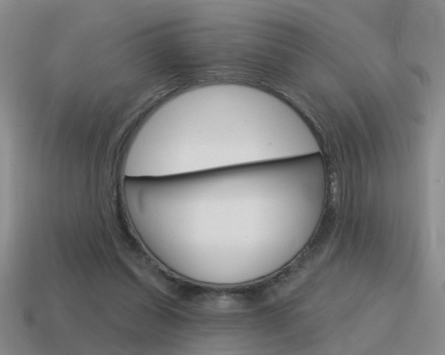 X0000115590254200911100937