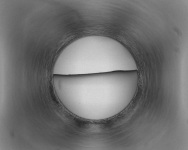 X0000115590255200911100937