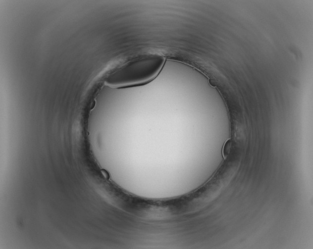 X0000115590256200911100937