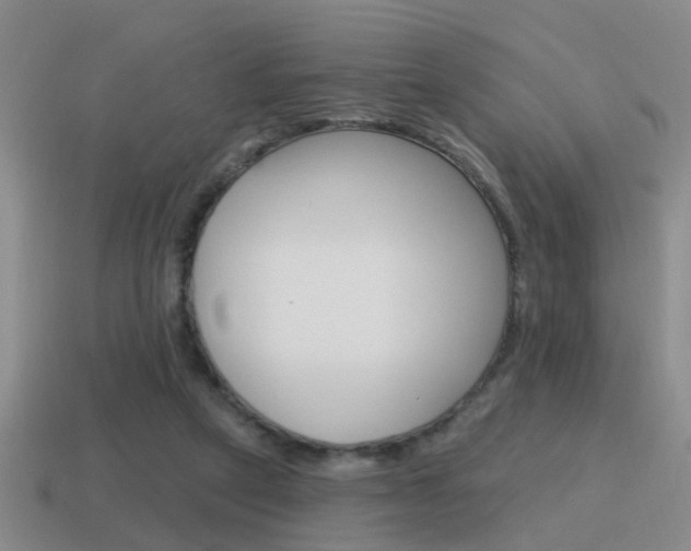 X0000115590257200911100937