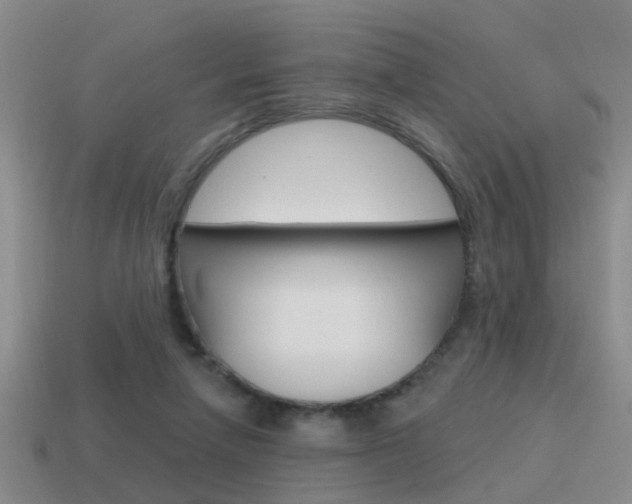 X0000115590258200911100937