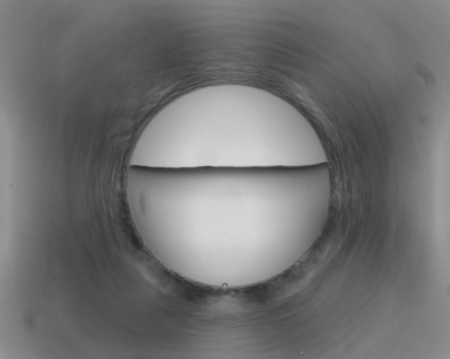 X0000115590259200911100937