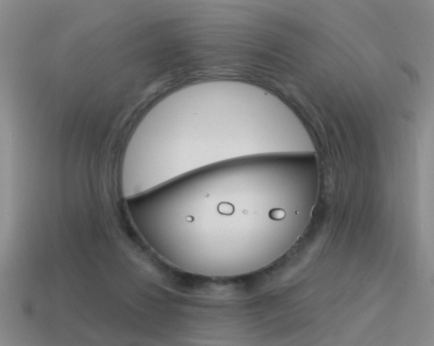 X0000115590260200911100937