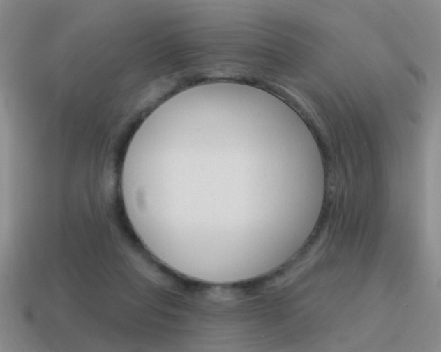 X0000115590261200911100937