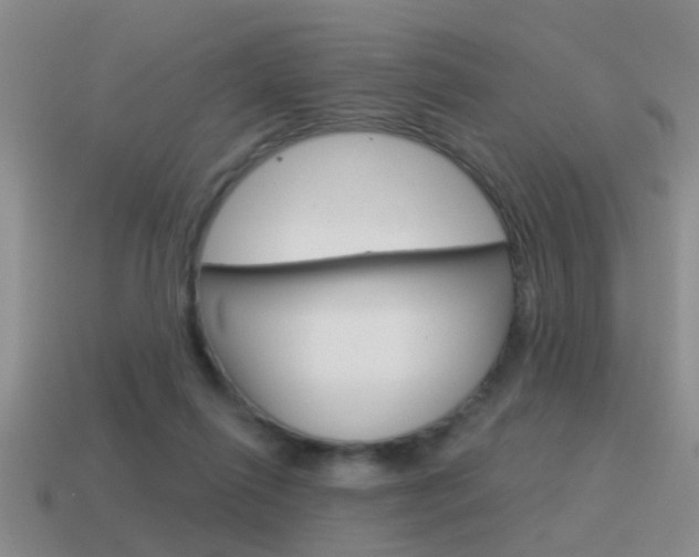 X0000115590262200911100937