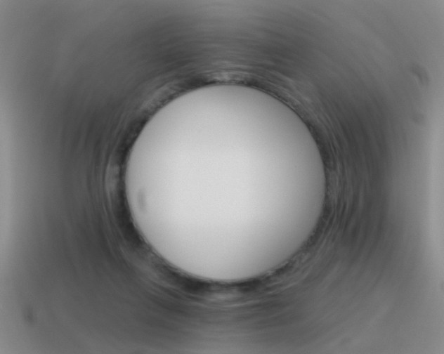 X0000115590263200911100937