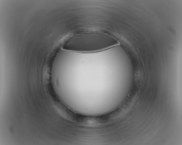 X0000115590264200911100937