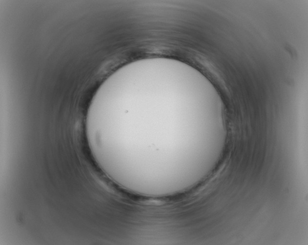 X0000115590265200911100937